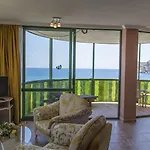 Kaktus Kaktus Albir