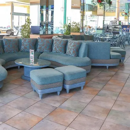 Kaktus Kaktus Albir 拉尔法斯德尔皮