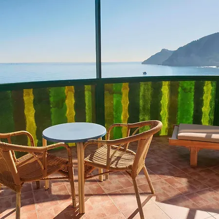 Kaktus Kaktus Albir Hotel